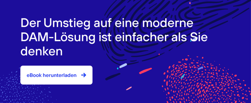 Download_eBook_DE_Switching DAM is easier than you think