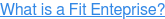 What is a Fit Enteprise?