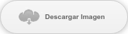 Descargar Imagen