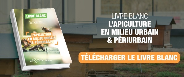 Livre Blanc Apiculture Urbaine