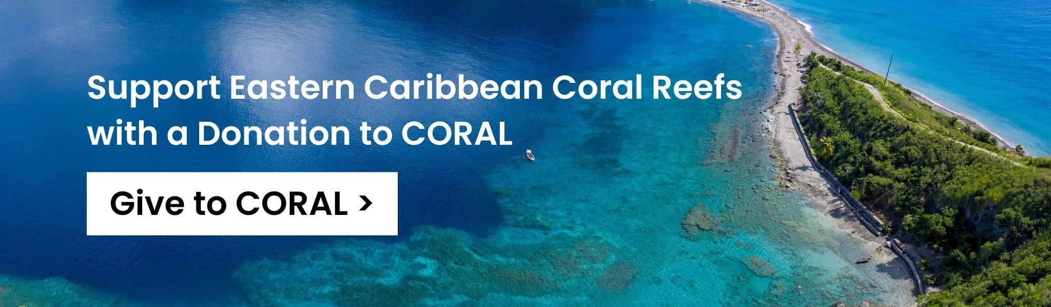 Support Eastern Caribbean Coral Reefs with a Donation to CORAL - Give to CORAL >