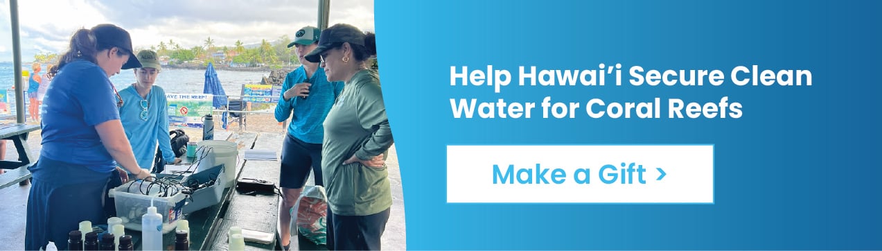 Help Hawai'i Secure Clean Water for Coral Reefs - Make a Gift >