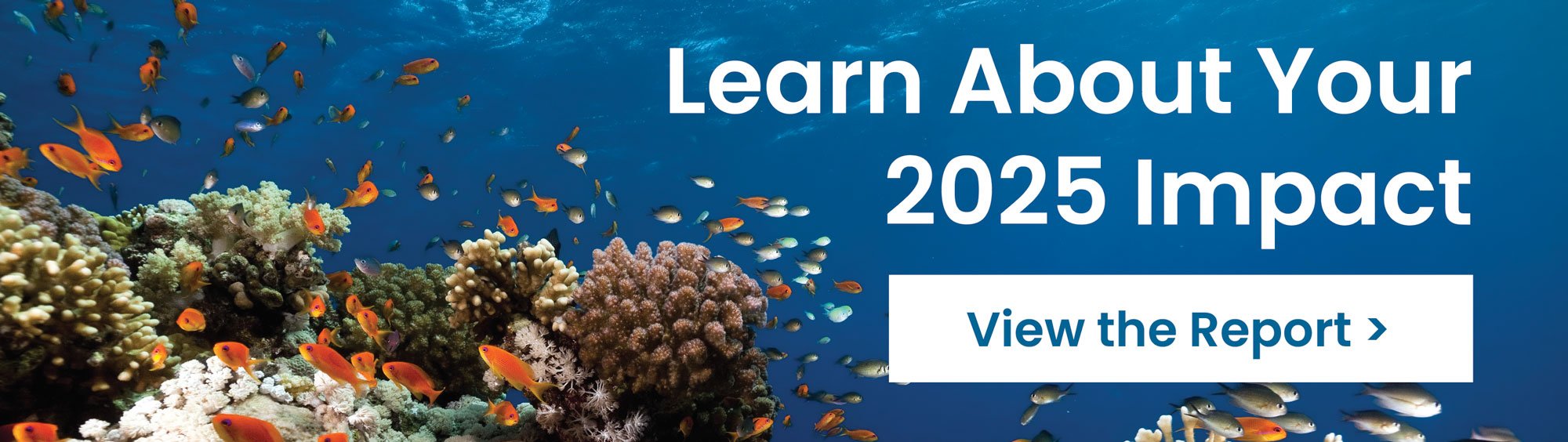 Learn About Your 2025 Impact - View the Report >