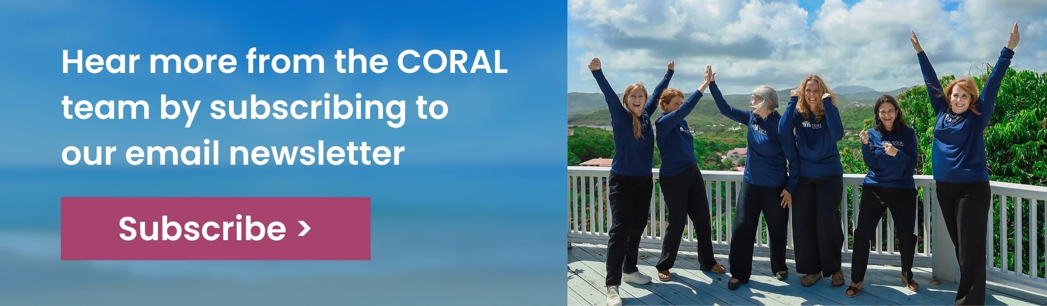 Hear more from the CORAL team by subscribing to our email newsletter - Subscribe >