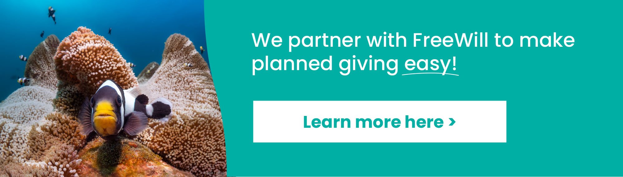 https://coral.mygiftlegacy.org/tax-smart-gifts/