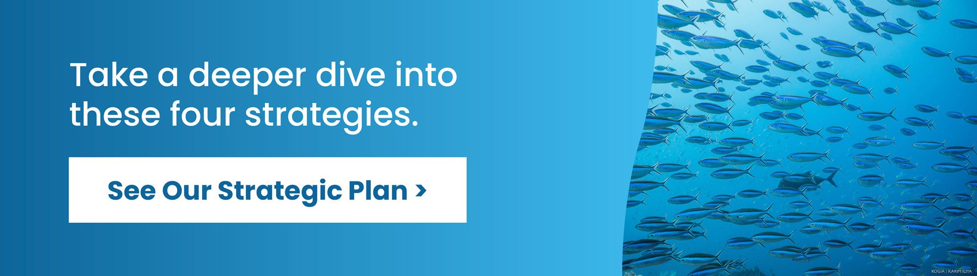 Take a deeper dive into these four strategies - See our strategic plan >