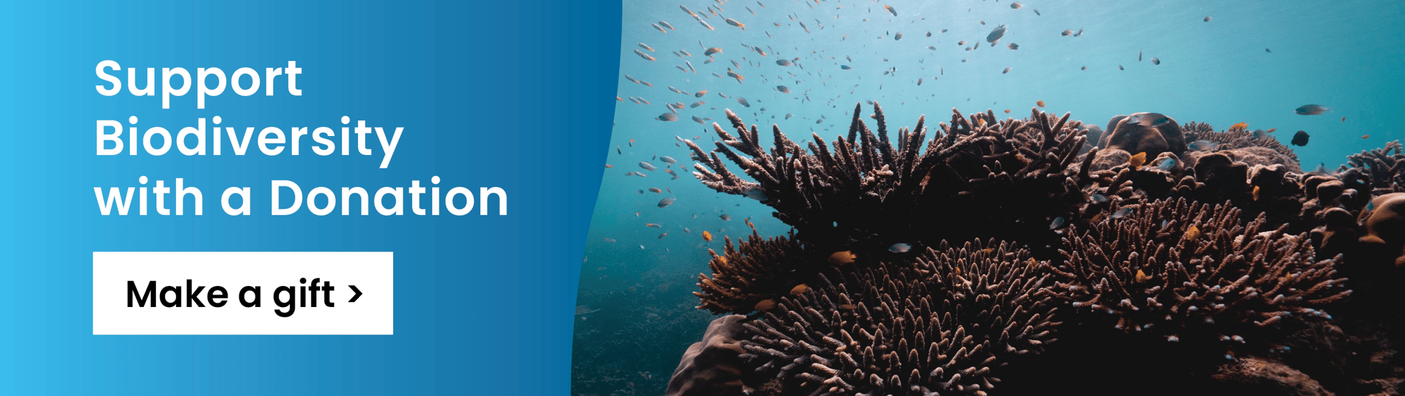Support Biodiversity with a Donation - Make a Gift >