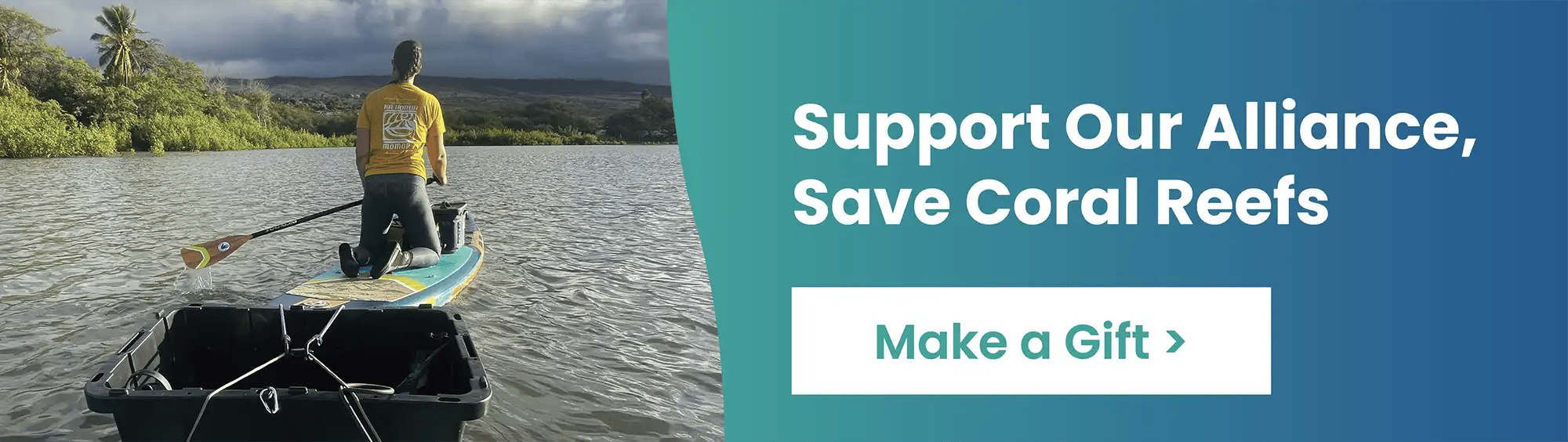 Support Our Alliance, Save Coral Reefs - Make a gift >