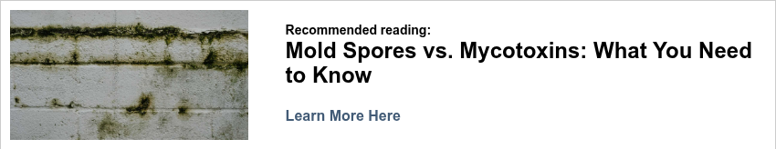 mold mycotoxin spores