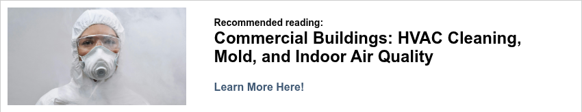 mold remediation