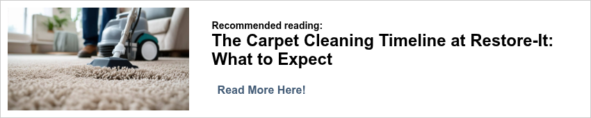 A light colored carpet being cleaned with a carpet extractor machine-1
