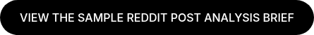 VIEW THE SAMPLE REDDIT POST ANALYSIS BRIEF