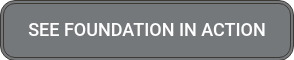 SEE FOUNDATION IN ACTION