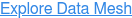 Explore Data Mesh