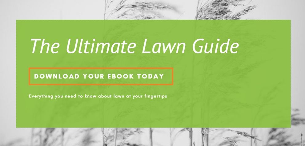 The Ultimate Lawn Guide