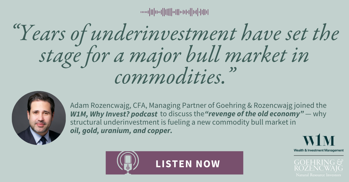 Adam Rozencwajg joined the Why Invest? podcast to discuss the "revenge of the old economy."