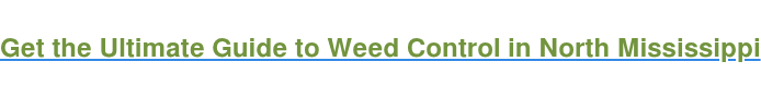 Get the Ultimate Guide to Weed Control in North Mississippi