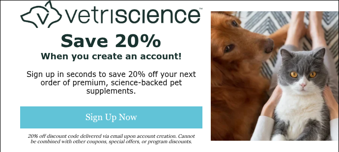 VS_Logo_Horizontal_DarkGreen