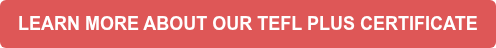 LEARN MORE ABOUT OUR TEFL PLUS CERTIFICATE