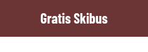 Gratis Skibus