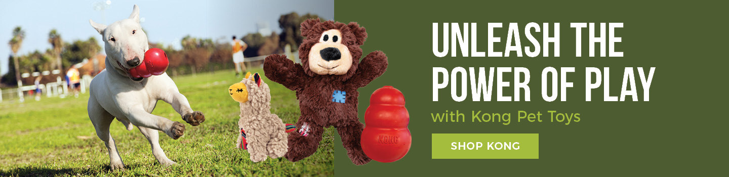 Kong-brand-cta-desktop