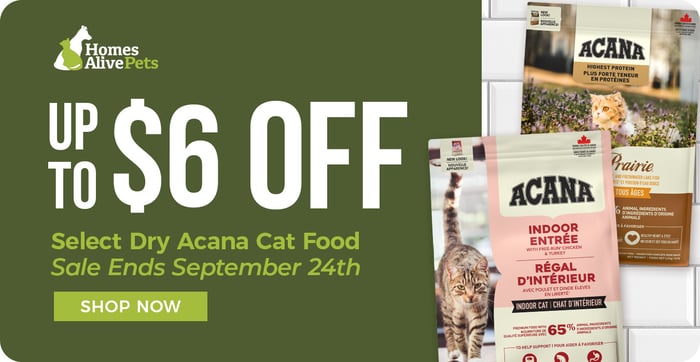 Acana-dry-cat-food-$6-off-2025-desktop