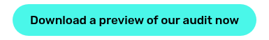 Download a preview of our audit now