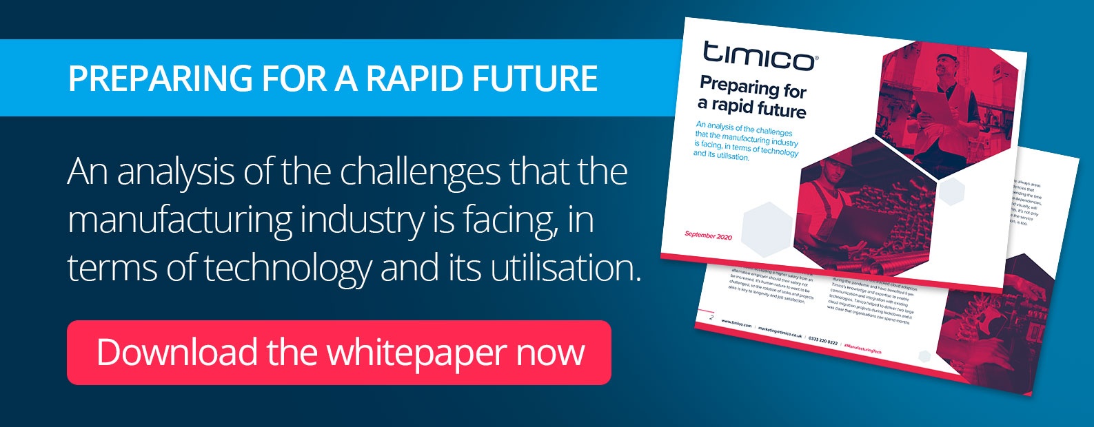 Download our Manufacturing whitepaper now