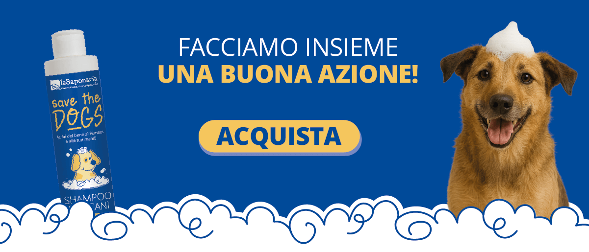 New call-to-action
