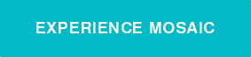 EXPERIENCE MOSAIC