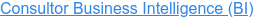Consultor Business Intelligence (BI)