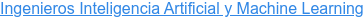 Ingenieros Inteligencia Artificial y Machine Learning