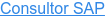 Consultor SAP
