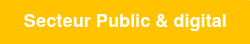 Secteur Public &amp; digital