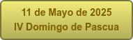 11 de Mayo de 2025 IV Domingo de Pascua