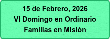 15 de Febrero, 2026 VI Domingo en Ordinario Familias en Misión