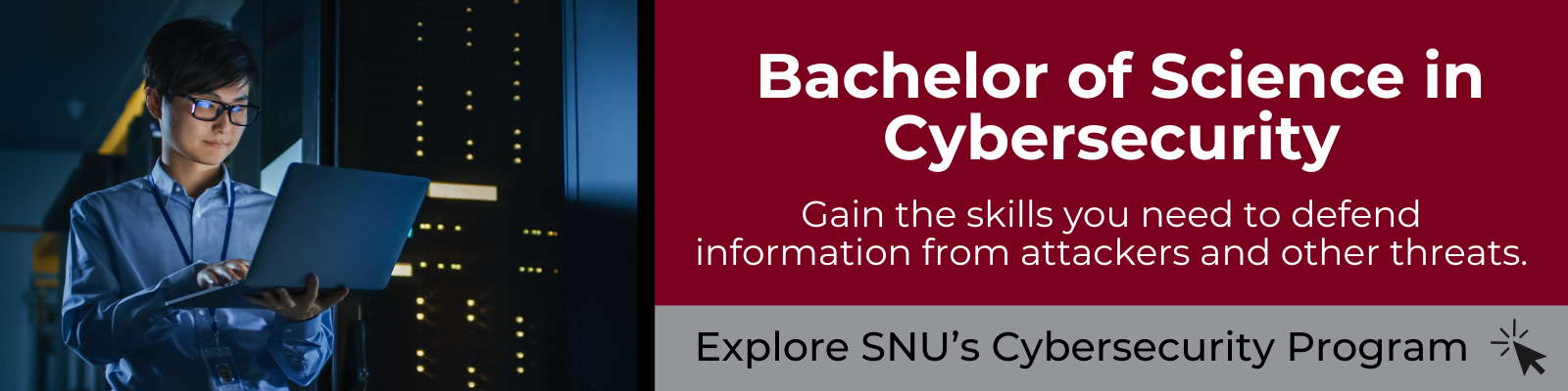 Explore SNU's Cybersecurity Program