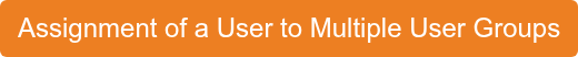 Assignment of a User to Multiple User Groups