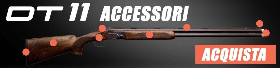 Accessori DT11