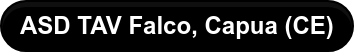 ASD TAV Falco, Capua (CE)