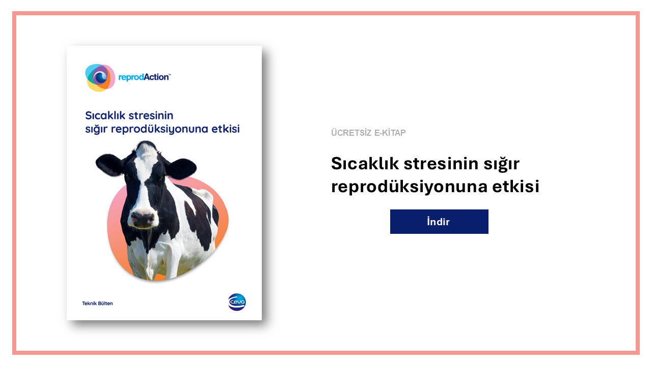 New call-to-action