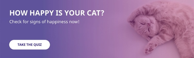 how happy is your cat?
