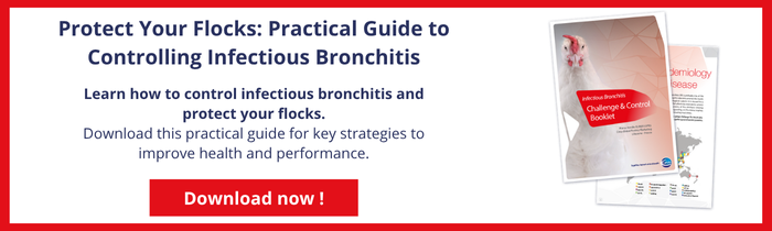 Nouveau call-to-action