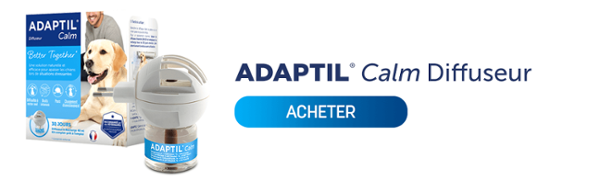 ADAPTIL Calm Diffuseur, pour un chien rassuré en toutes circonstances à la maison