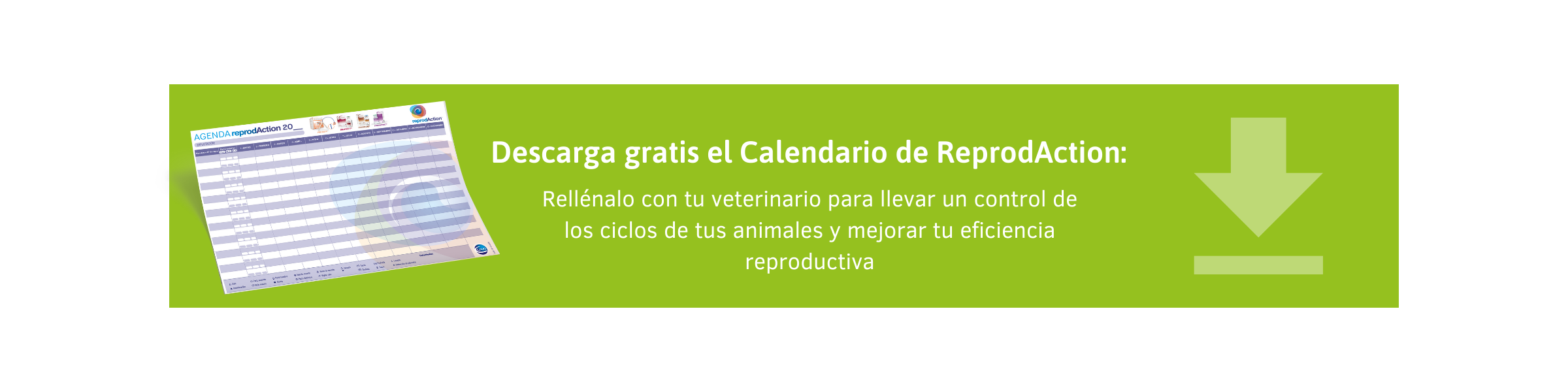 Nueva llamada a la acción