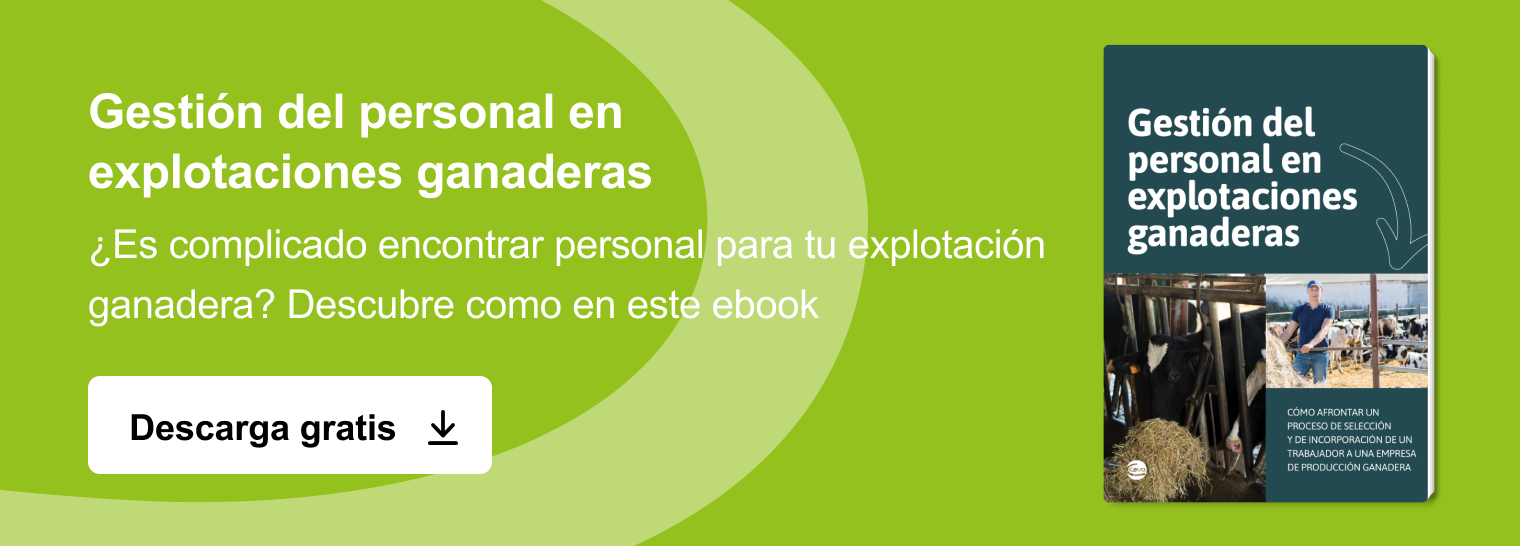 Nueva llamada a la acción