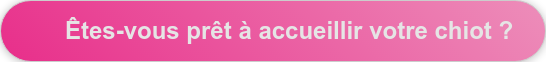 Êtes-vous prêt à accueillir votre chiot ?