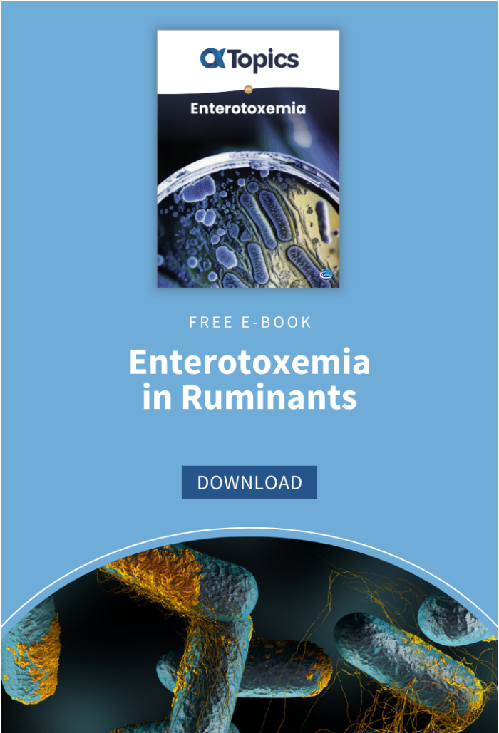 CTA Sidebar - Enterotoxemia (1)