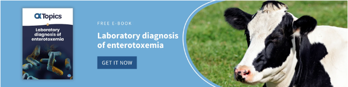 CTA Text - Laboratory of diagnosis (1)