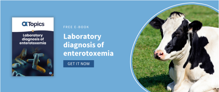 CTA Post - Laboratory of diagnosis (1)